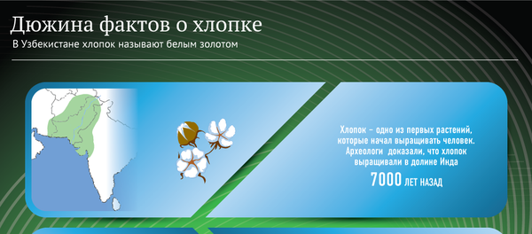 Факты о хлопке Факты о хлопке - Sputnik Узбекистан
