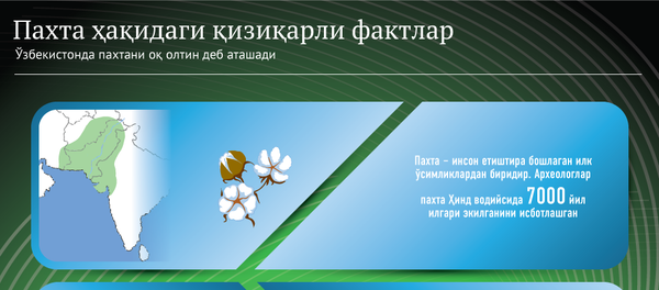 Пахтага оид қизиқарли фактлар Пахтага оид қизиқарли фактлар - Sputnik Ўзбекистон