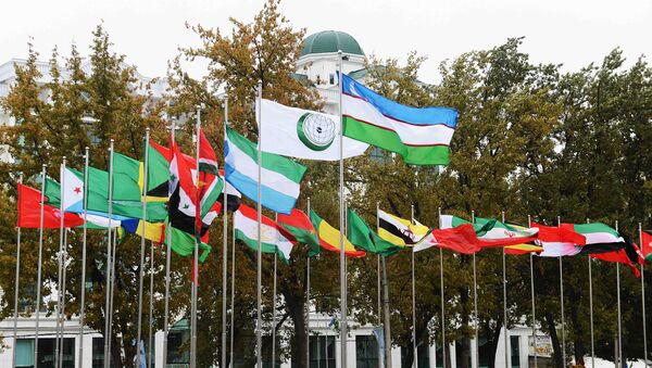 Cессия Совета министров иностранных дел Организации исламского сотрудничества - Sputnik Узбекистан