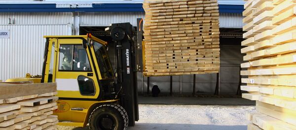 Ёғочни қайта ишлаш корхонаси - Sputnik Ўзбекистон