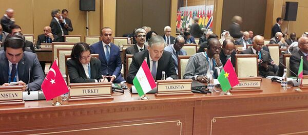 Министр иностранных дел Республики Таджикистан Сироджидин Аслов на заседании Совета министров иностранных дел стран-членов Организации исламского сотрудничества Министр иностранных дел Республики Таджикистан Сироджидин Аслов на заседании Совета министров иностранных дел стран-членов Организации исламского сотрудничества - Sputnik Узбекистан