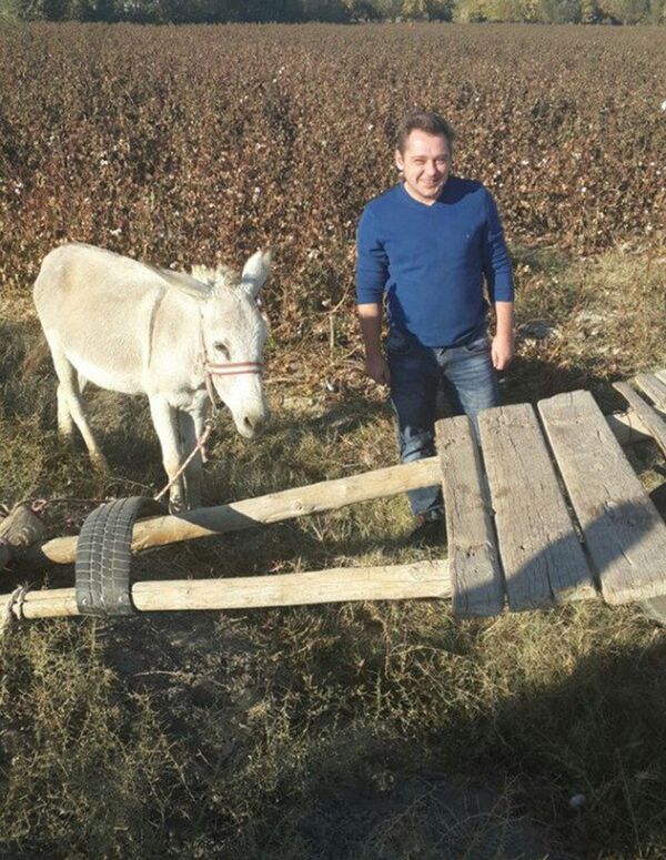 Александр Симкин на просторах Узбекистана Александр Симкин на просторах Узбекистана - Sputnik Узбекистан