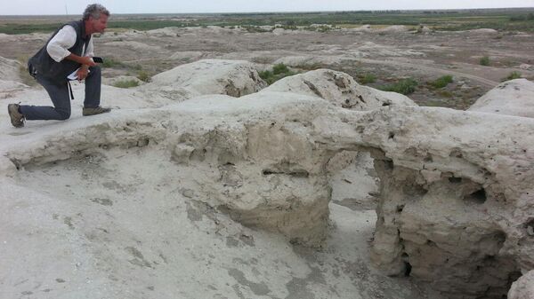 Американский журналист и писатель, автор журнала National Geographic Пол Салопек  - Sputnik Узбекистан