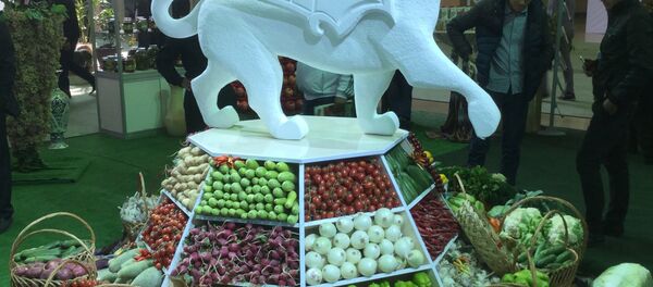 Плодоовощная ярмарка в Ташкенте Плодоовощная ярмарка в Ташкенте - Sputnik Ўзбекистон
