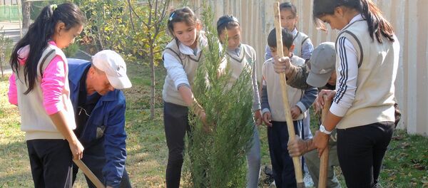 Посадка саженцев  в Республиканской теннисной школе олимпийского резерва - Sputnik Узбекистан