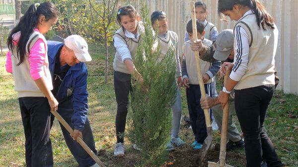 Посадка саженцев  в Республиканской теннисной школе олимпийского резерва - Sputnik Узбекистан