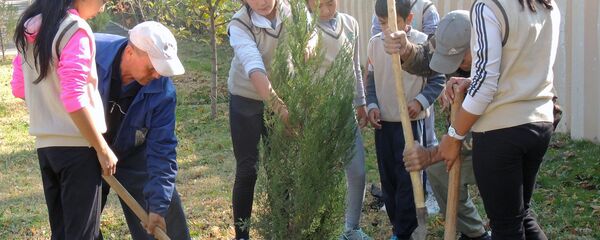 Посадка саженцев в Республиканской теннисной школе олимпийского резерва Посадка саженцев в Республиканской теннисной школе олимпийского резерва - Sputnik Узбекистан