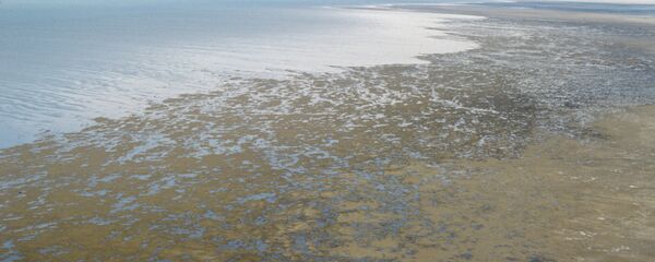 Орол денгизи соҳили - Sputnik Ўзбекистон