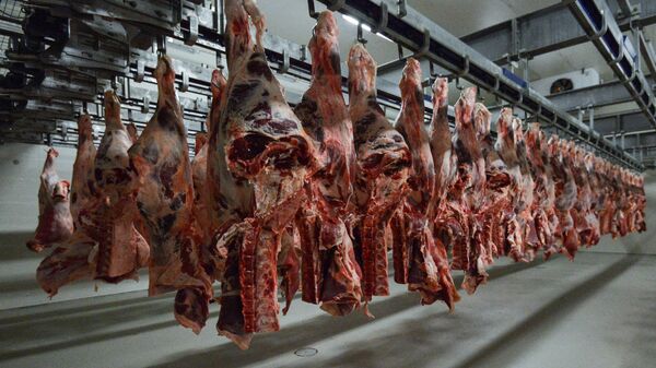 Гўшт қайта ишлаш корхонаси - Sputnik Ўзбекистон