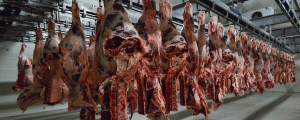 Go‘shtni qayta ishlash korxonasi - Sputnik O‘zbekiston