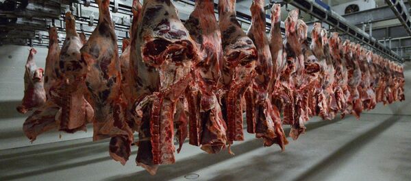 Гўштни қайта ишлаш корхонаси Гўштни қайта ишлаш корхонаси - Sputnik Ўзбекистон