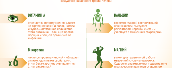 Хурма — сладкая пища богов Хурма — сладкая пища богов - Sputnik Узбекистан