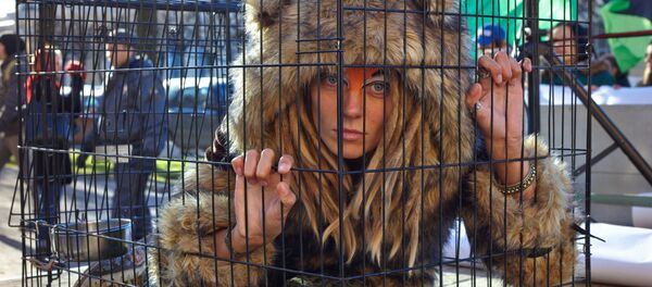 Акция Антимеховой марш Акция Антимеховой марш - Sputnik Узбекистан