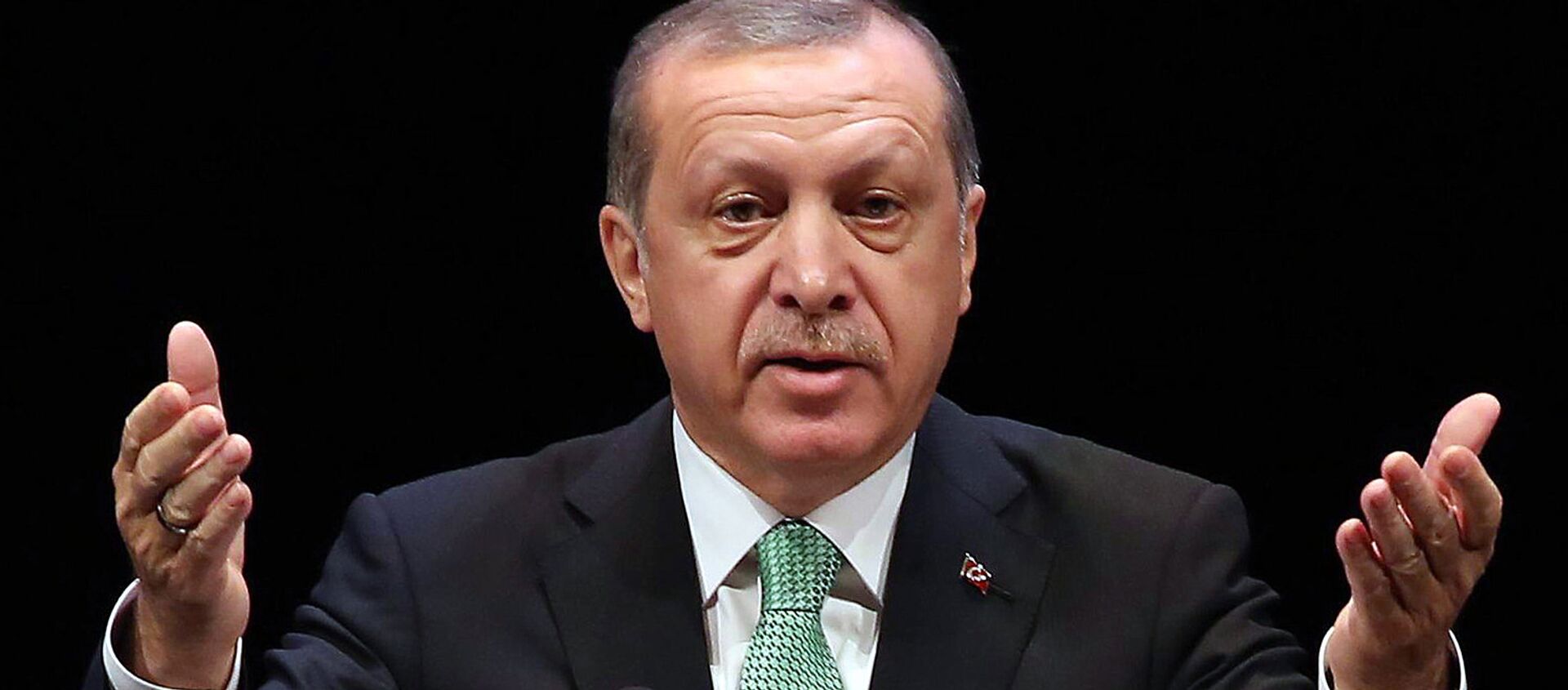 Президент Турции Реджеп Тайип Эрдоган - Sputnik Ўзбекистон, 1920, 16.12.2019