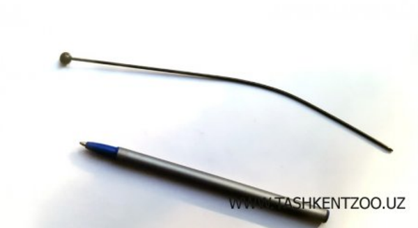 Вязальная спица была найдена в кормушке жирафа в зоопарке Ташкента Вязальная спица была найдена в кормушке жирафа в зоопарке Ташкента - Sputnik Узбекистан