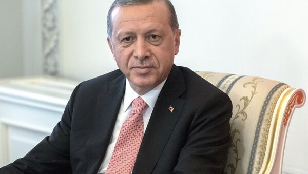 Президент Турции Реджеп Тайип Эрдоган - Sputnik Узбекистан