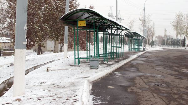 Зима в Ташкенте - Sputnik Узбекистан