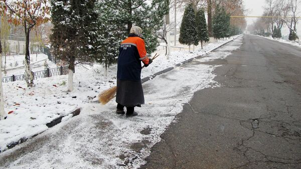 Zima v Tashkente - Sputnik Oʻzbekiston