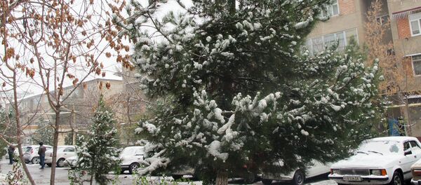 Зима в Ташкенте Зима в Ташкенте - Sputnik Ўзбекистон