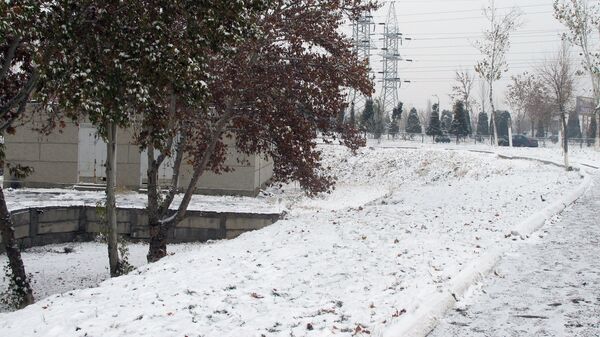 Zima v Tashkente - Sputnik O‘zbekiston