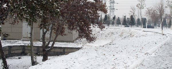 Зима в Ташкенте - Sputnik Узбекистан