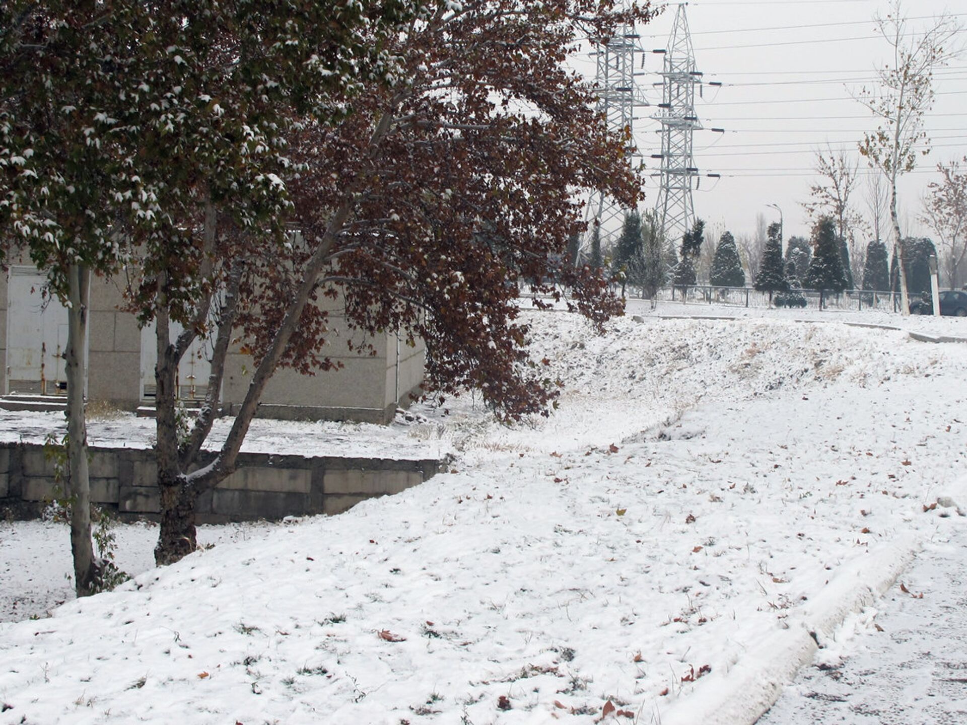 Ташкент январь. Ташкент зимой. Зима в Ташкенте. Снег в Узбекистане. Снег в Фергане.