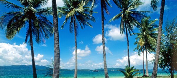 Вид пляжа на острове Нага Вид пляжа на острове Нага - Sputnik Узбекистан