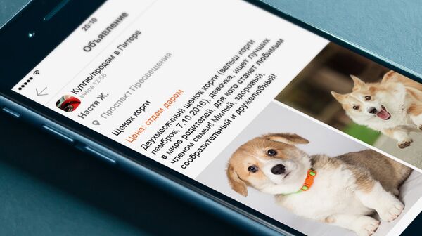 Социальная сеть Одноклассники Социальная сеть Одноклассники - Sputnik Узбекистан