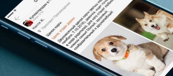 Одноклассники Одноклассники - Sputnik Ўзбекистон