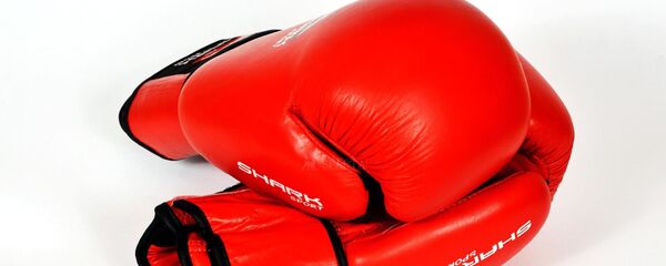 Боксерские перчатки - Sputnik Узбекистан