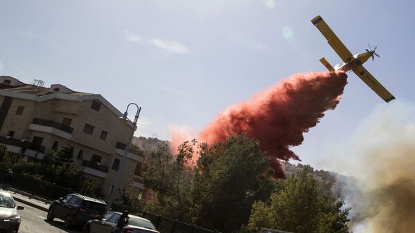 Израильский пожарный самолет помогает тушить лесной пожар в северном израильском порту города Хайфа - Sputnik Узбекистан