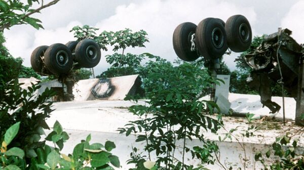 Место крушения самолета DC-8 под Парамарибо - Sputnik Узбекистан