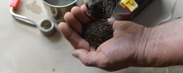 Чай и металлическая кружка с кипятильником (фото носит иллюстративный характер) Чай и металлическая кружка с кипятильником (фото носит иллюстративный характер) - Sputnik Узбекистан