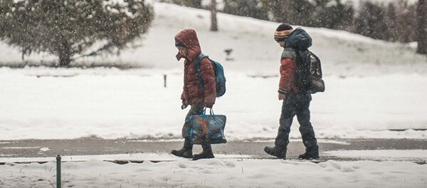 Қор ёғиши - Sputnik Ўзбекистон