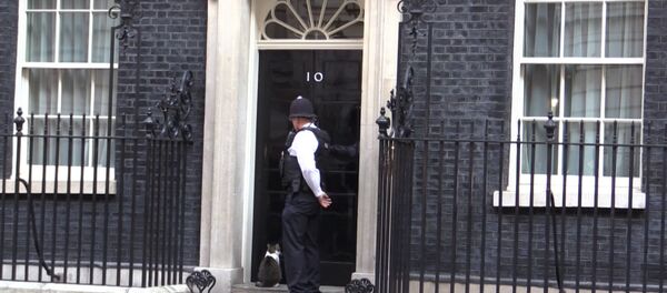 Полицейский помог нерешительному коту Кэмерона попасть в резиденцию Полицейский помог нерешительному коту Кэмерона попасть в резиденцию - Sputnik Узбекистан