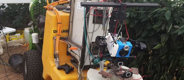 Ученые создали робота, который может оценивать урожайность и состояние растительности - Sputnik Узбекистан