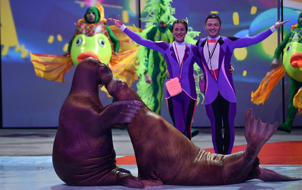 Новогодняя сказка в Москве: Дед Мороз, дельфины и косатки Новогодняя сказка в Москве: Дед Мороз, дельфины и косатки - Sputnik Узбекистан