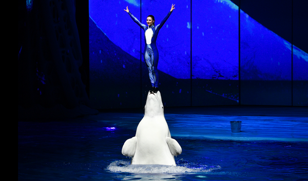 Новогодняя сказка в Москве: Дед Мороз, дельфины и косатки Новогодняя сказка в Москве: Дед Мороз, дельфины и косатки - Sputnik Узбекистан