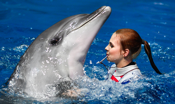 Новогодняя сказка в Москве: Дед Мороз, дельфины и косатки Новогодняя сказка в Москве: Дед Мороз, дельфины и косатки - Sputnik Узбекистан