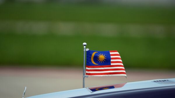 Государственный флаг Малайзии на автомобиле - Sputnik Узбекистан