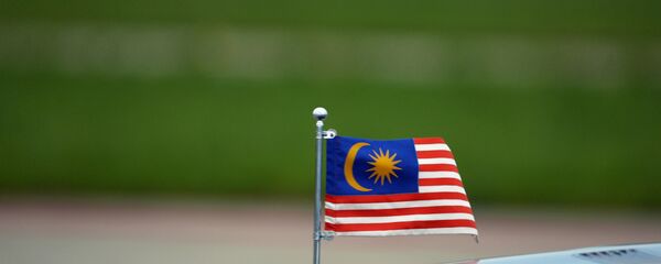 Государственный флаг Малайзии на автомобиле - Sputnik Узбекистан