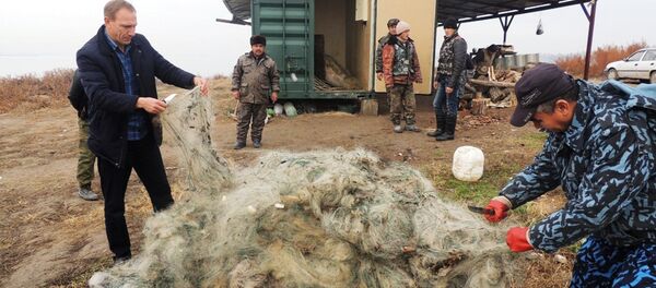 Ekologicheskiy reyd protiv deyatelnosti brakonyerov Ekologicheskiy reyd protiv deyatelnosti brakonyerov - Sputnik O‘zbekiston