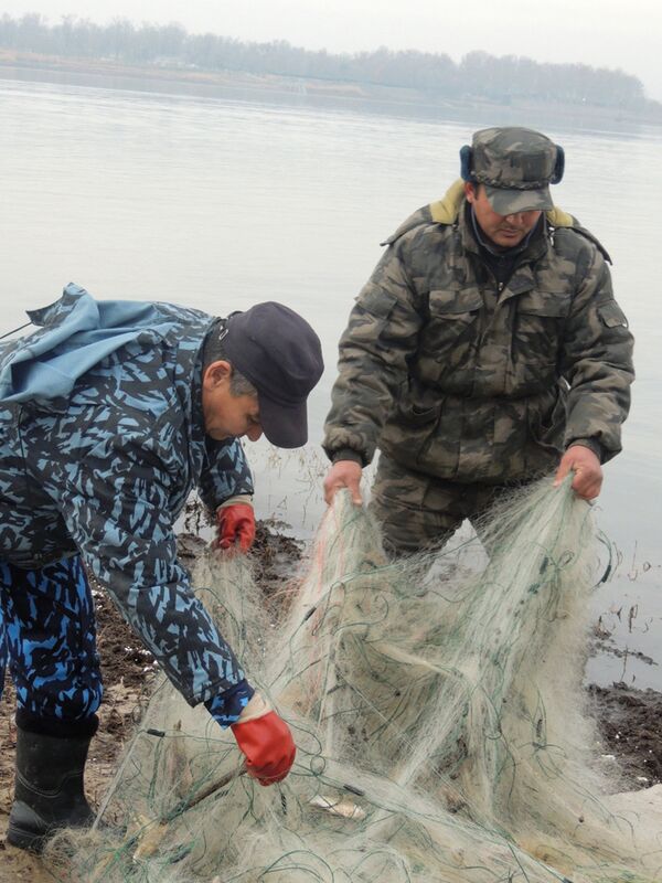 Экологический рейд против деятельности браконьеров - Sputnik Узбекистан