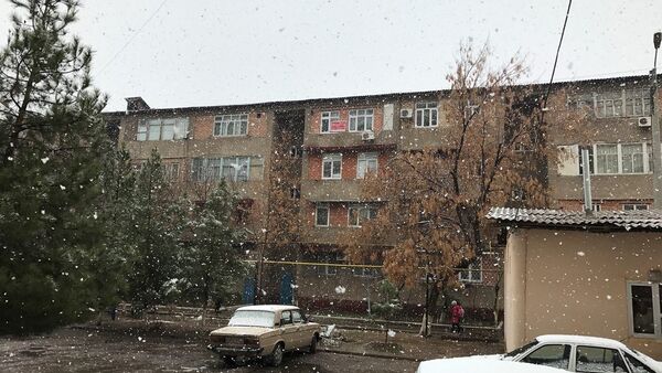 Крупный снег в Ташкенте - Sputnik Узбекистан