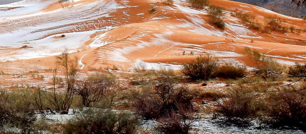 В пустыне Сахара выпал снег - Sputnik Узбекистан