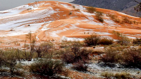В пустыне Сахара выпал снег - Sputnik Узбекистан
