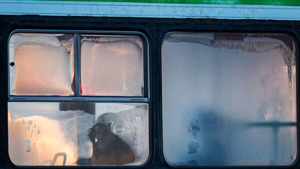 Окна автобуса во время сильного - Sputnik Ўзбекистон