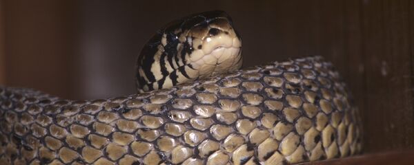 Московский зоопарк - Sputnik Ўзбекистон