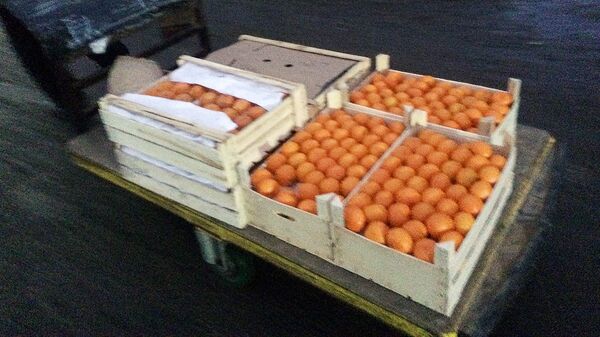 Апельсины, которые купил Умар Апельсины, которые купил Умар - Sputnik Ўзбекистон