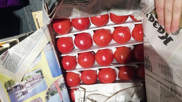 Помидоры, которые купил Умар Помидоры, которые купил Умар - Sputnik Ўзбекистон